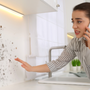 Early detection and prevention of mold growth in the walls of your home is important